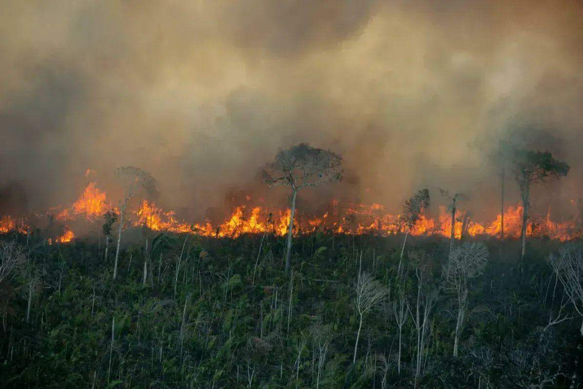 Amazônia  enfrenta descontrole de focos de incêndio