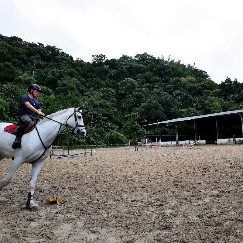Animais são utilizados para treinamentos esportivos e terapêuticos, como a equoterapia. “É um projeto de vida”, afirma sócia administradora