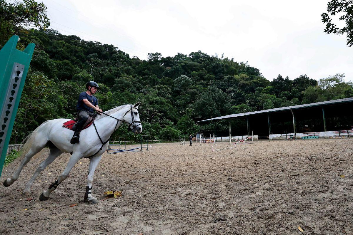 Animais são utilizados para treinamentos esportivos e terapêuticos, como a equoterapia. “É um projeto de vida”, afirma sócia administradora
